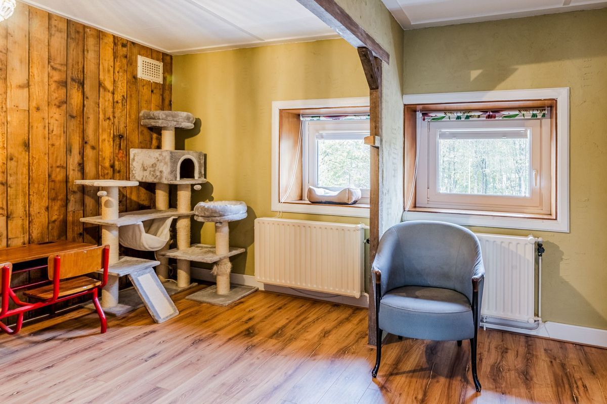 Terheijdenseweg 227 Photo Blur 26