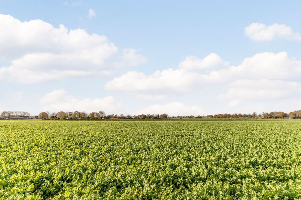 Pastoor Coomansstraat 19 Photo Blur 67