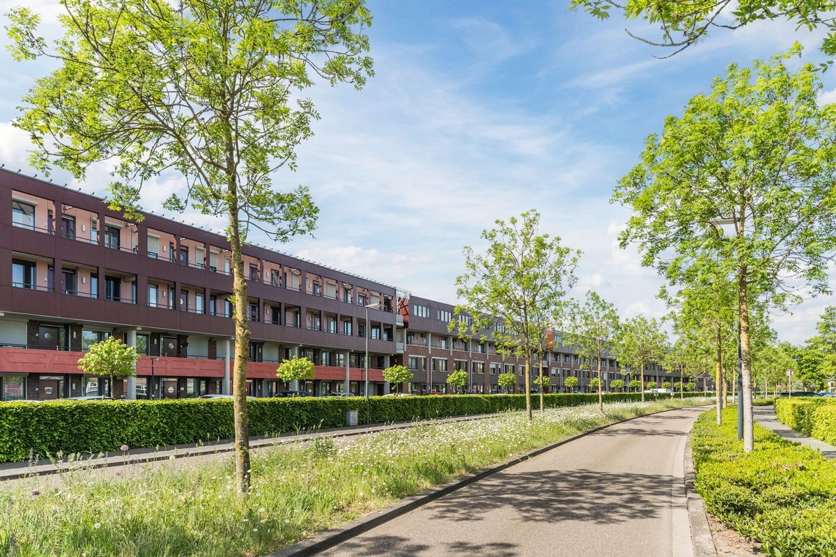 Vlaemsche Hoeve 34 - G Photo Blur 2