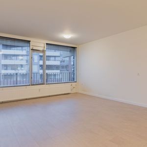 Pascalerf 54 Photo 4