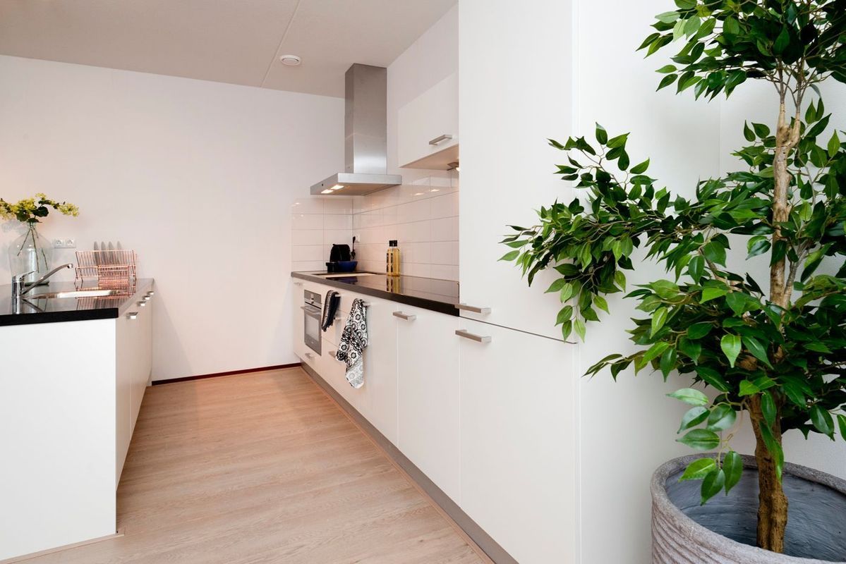 Piusplein 28 - 42 Photo Blur 2