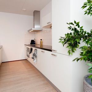 Piusplein 28 - 42 Photo 2