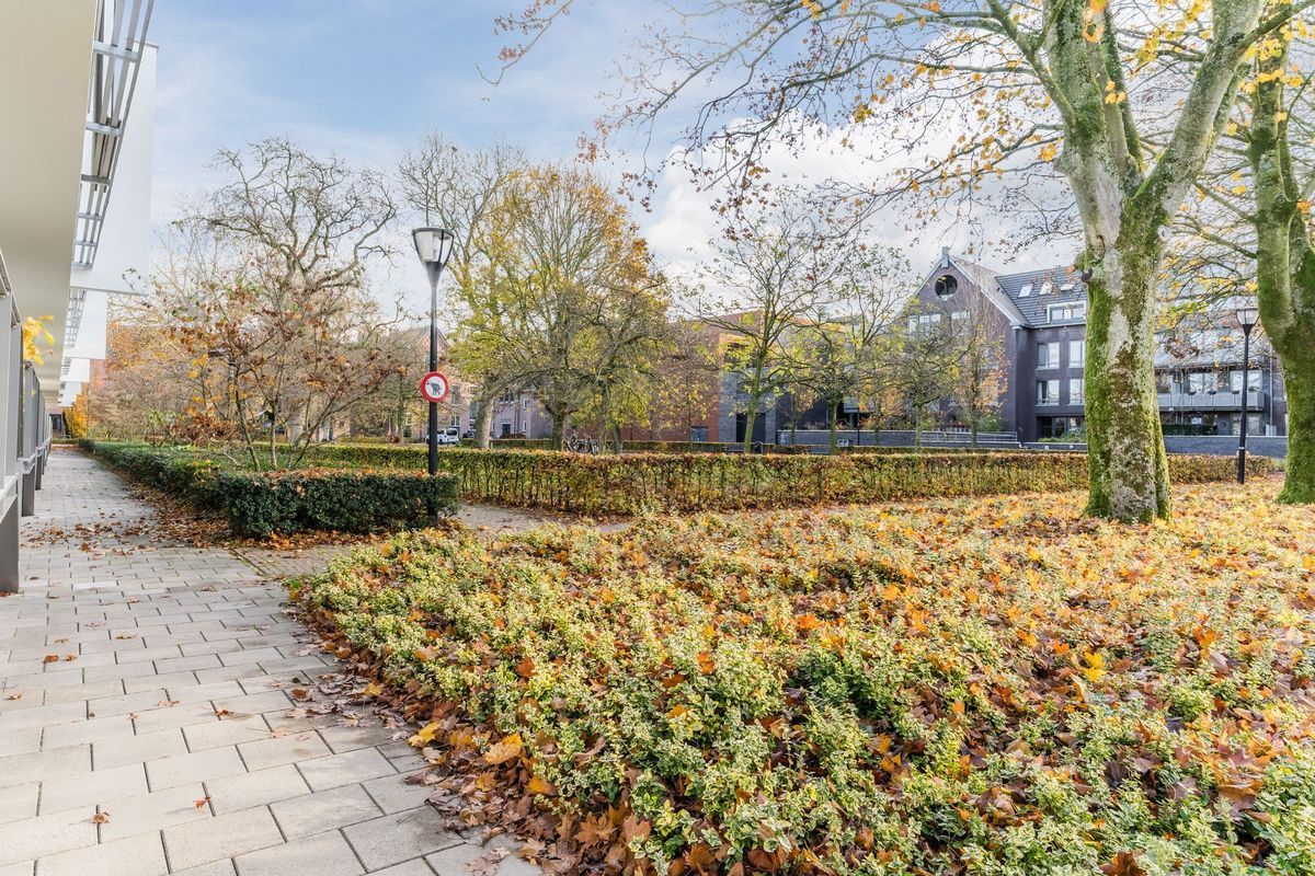 Fraterstuin 1 Photo Blur 45