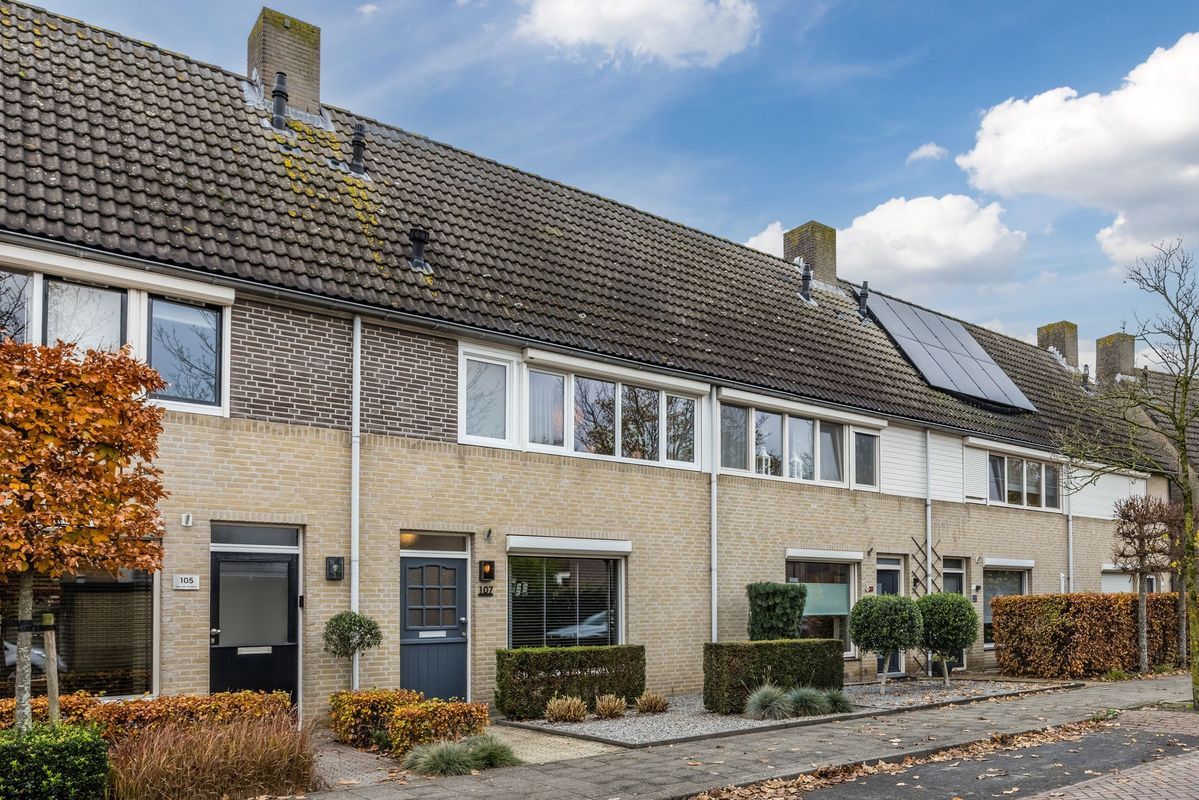 van Heinsbergstraat 107 Photo Blur 50