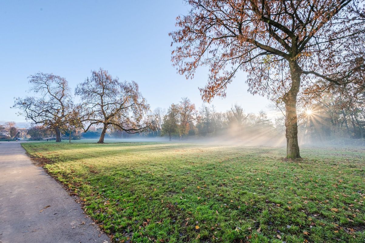 Gestelsestraat 170 - B Photo Blur 50
