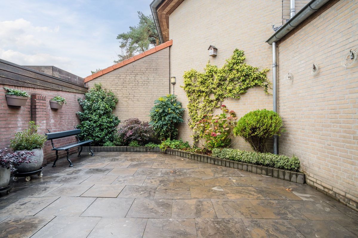 Wethouder Noijhof 5 Photo Blur 24