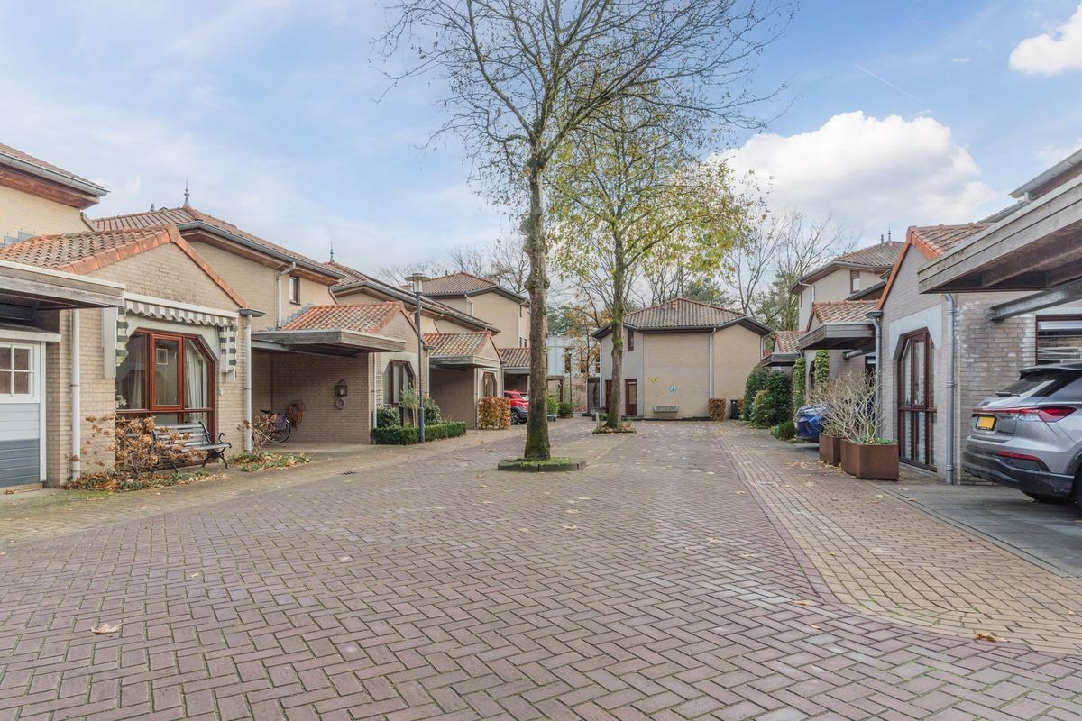 Wethouder Noijhof 5 Photo Blur 41