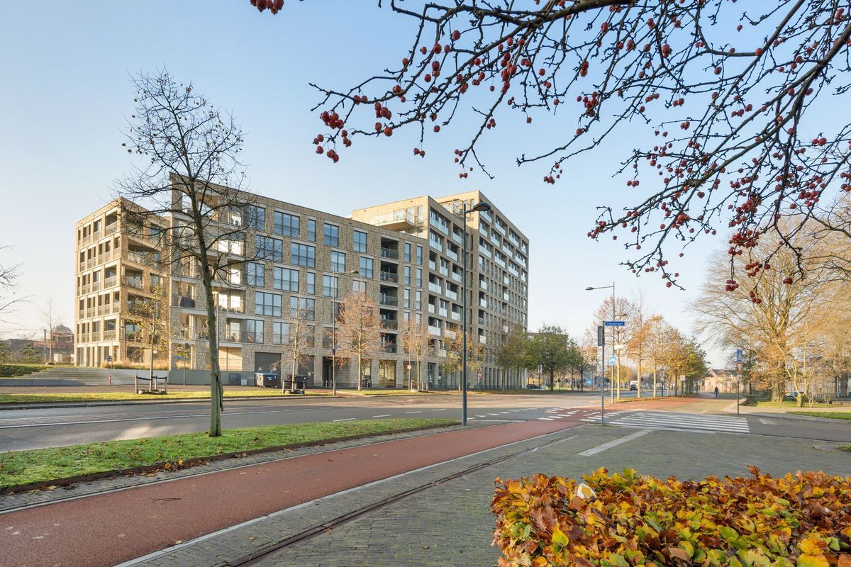 Terheijdenstraat 166 Photo Blur 41