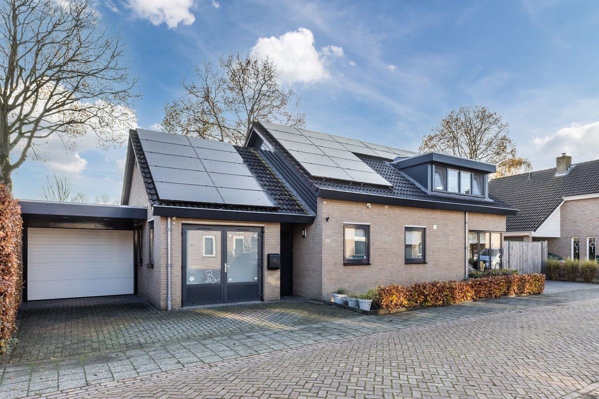 De Vucht 56 Photo Blur 0