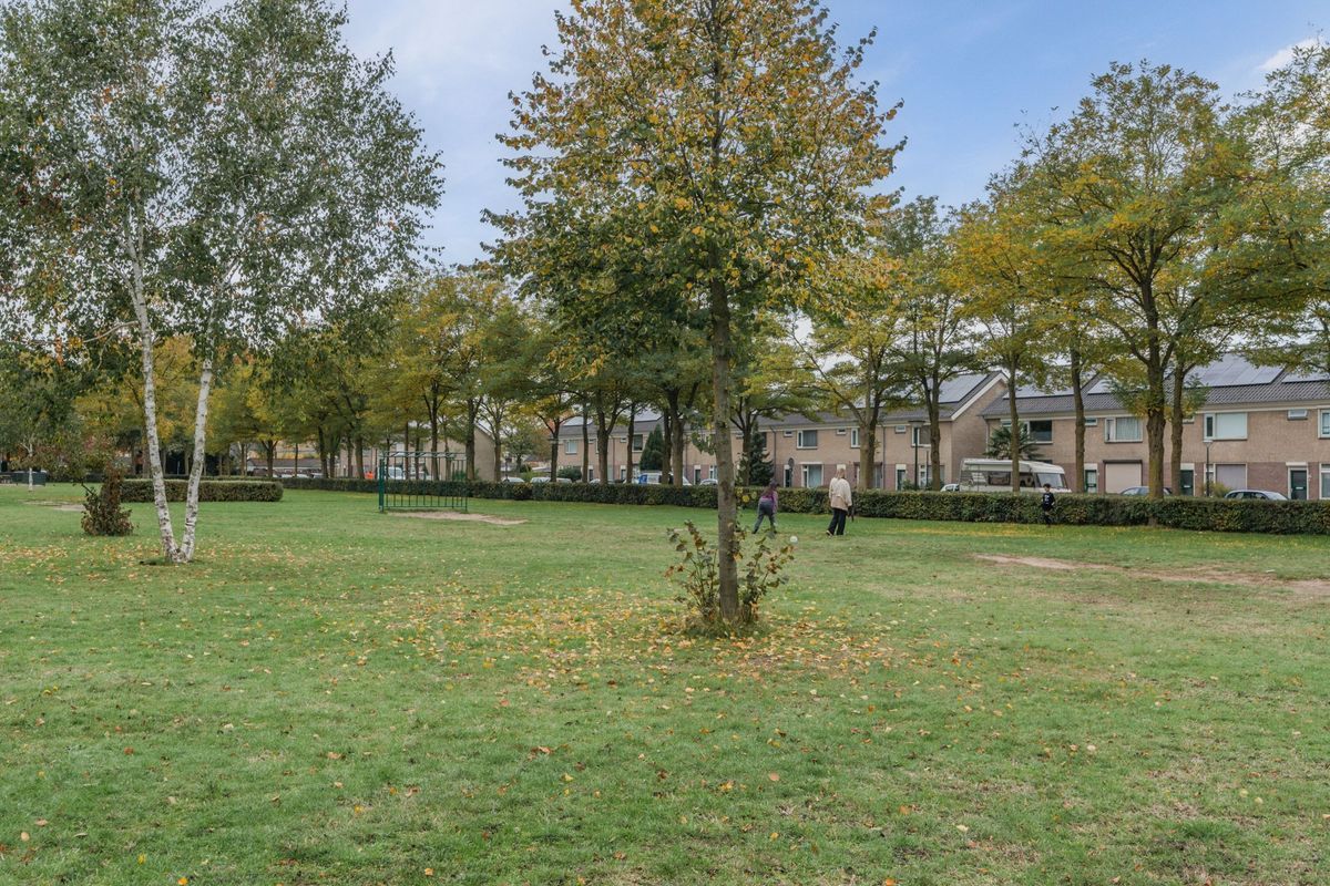 Wethouder Jeuckenstraat 7 Photo Blur 33