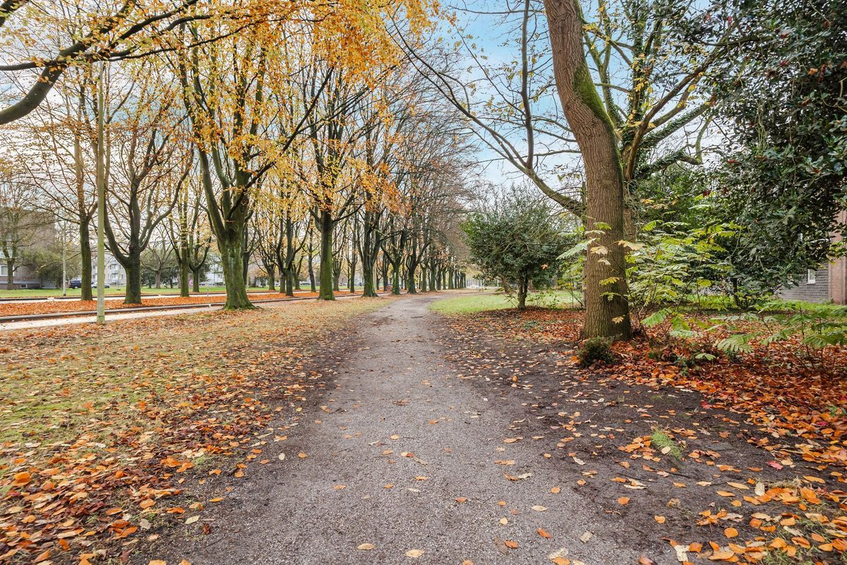 Azuurweg 216 Photo Blur 29