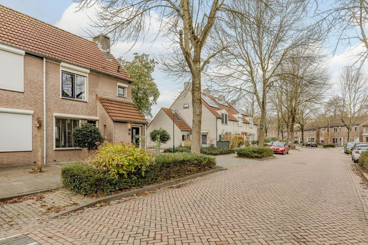 Zaaren 156 Photo Blur 36