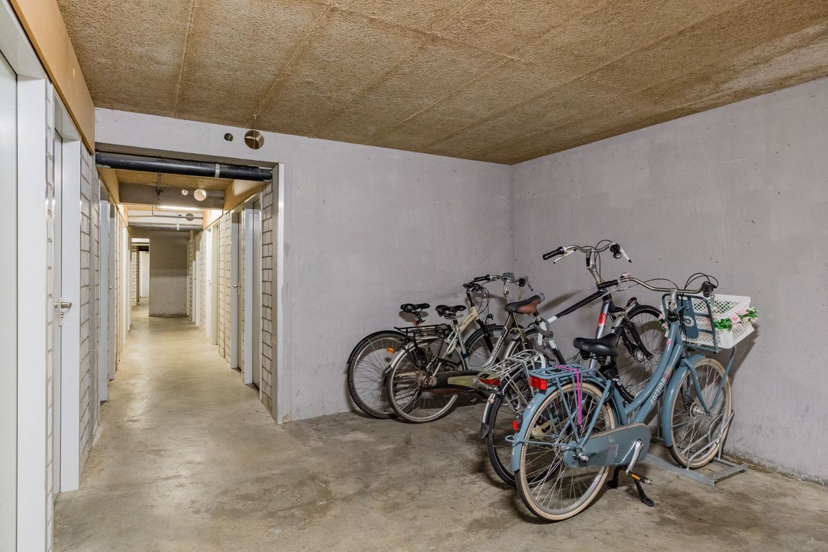 Pascalerf 42 Photo Blur 12