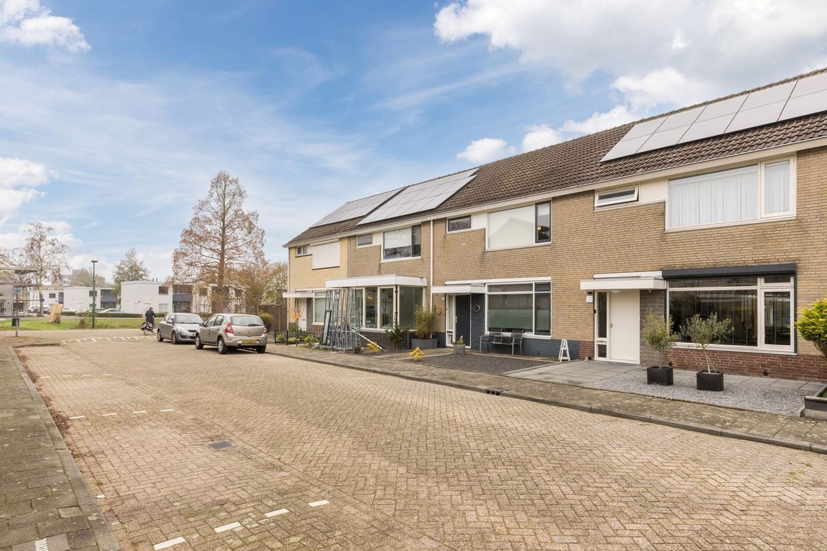 Bosboomstraat 14 Photo Blur 6