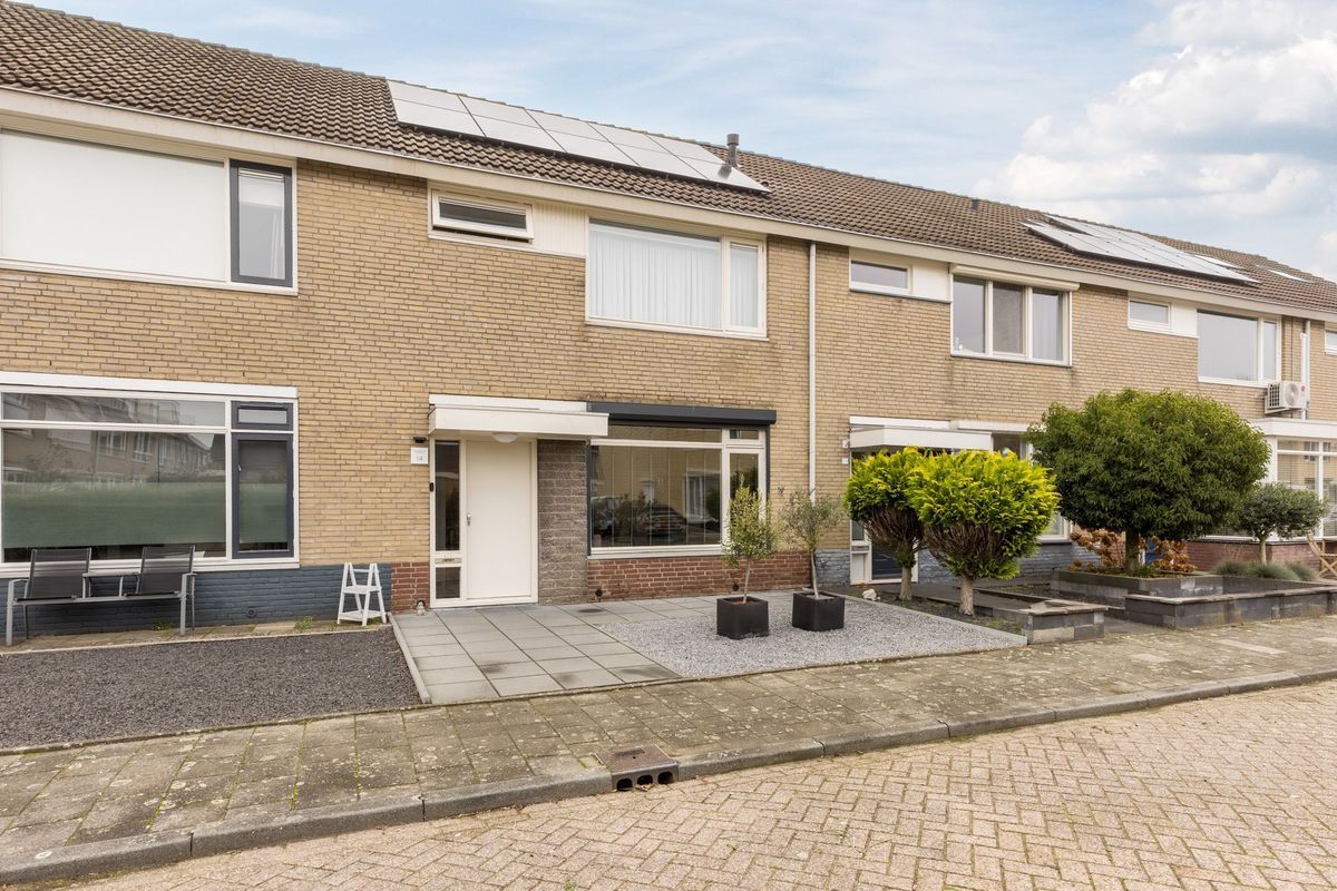 Bosboomstraat 14 Photo Blur 5