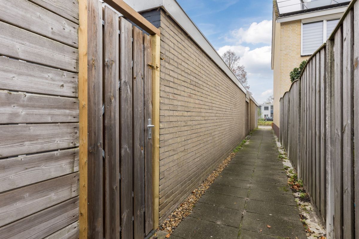 Bosboomstraat 14 Photo Blur 31