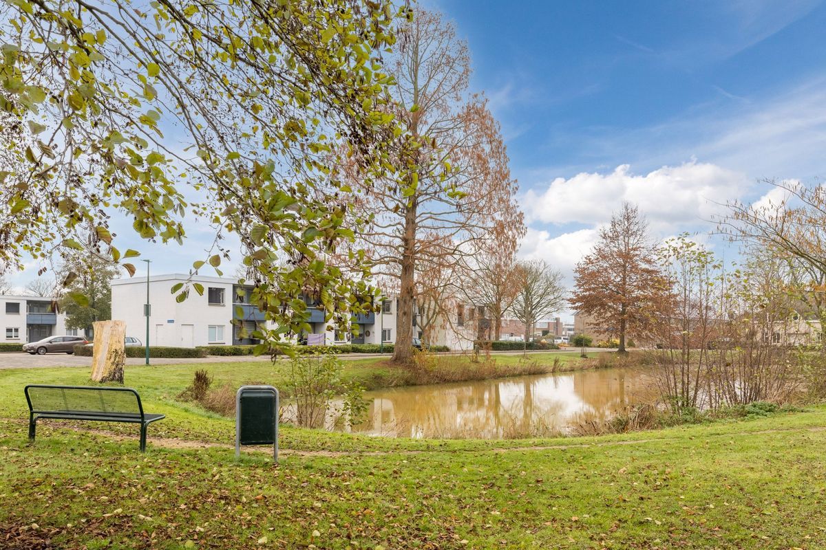 Bosboomstraat 14 Photo Blur 33