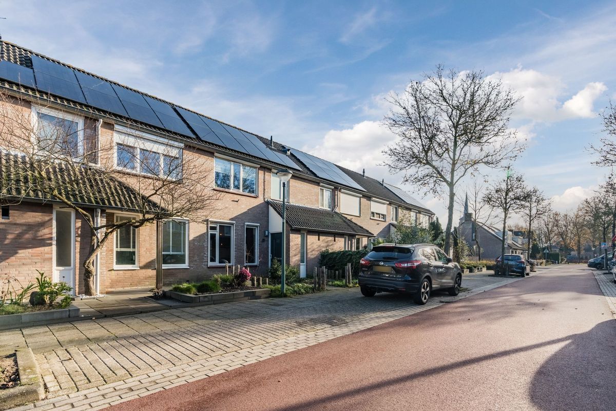 Zomerland 67 Photo Blur 4