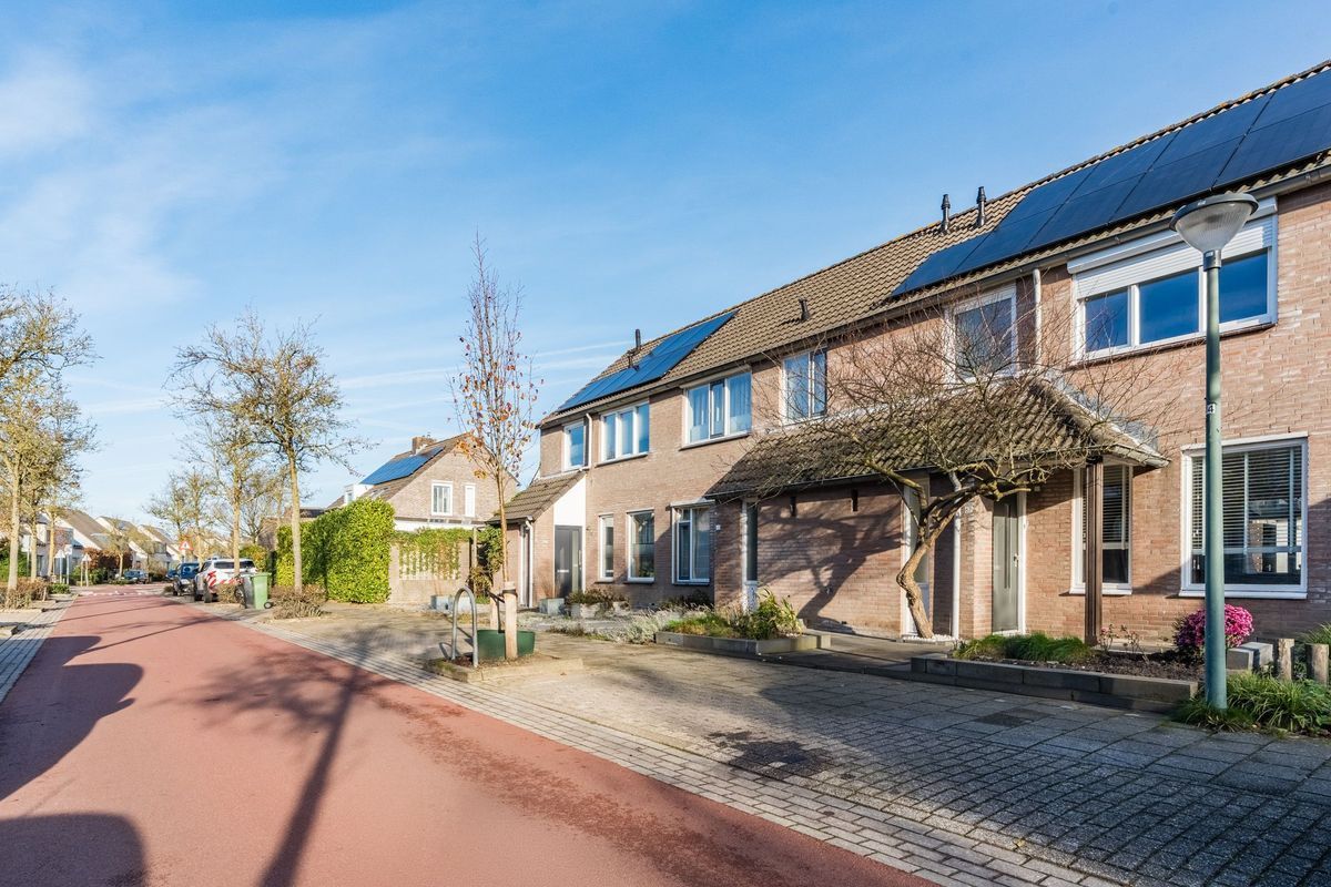 Zomerland 67 Photo Blur 5