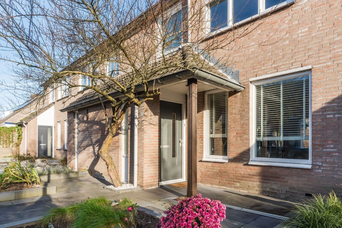 Zomerland 67 Photo Blur 6