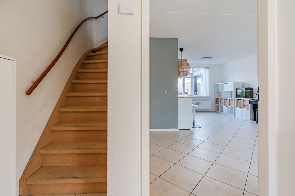 Zomerland 67 Photo Blur 7