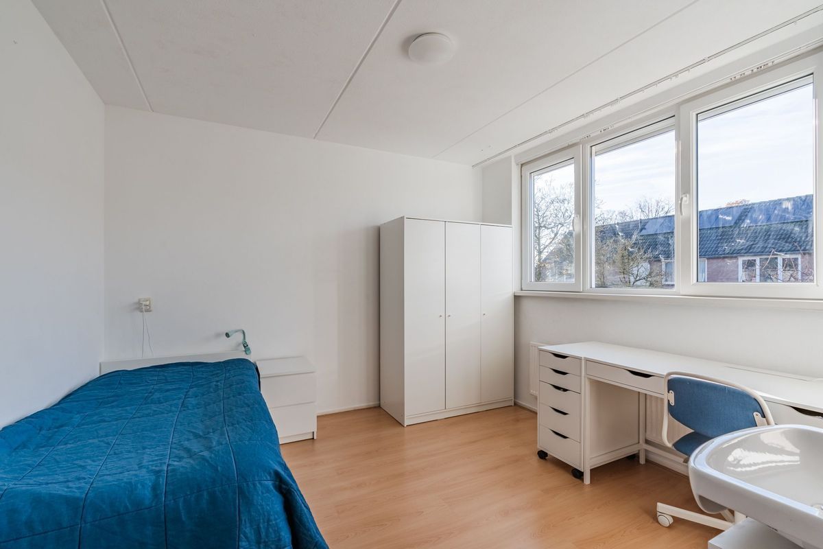 Zomerland 67 Photo Blur 22