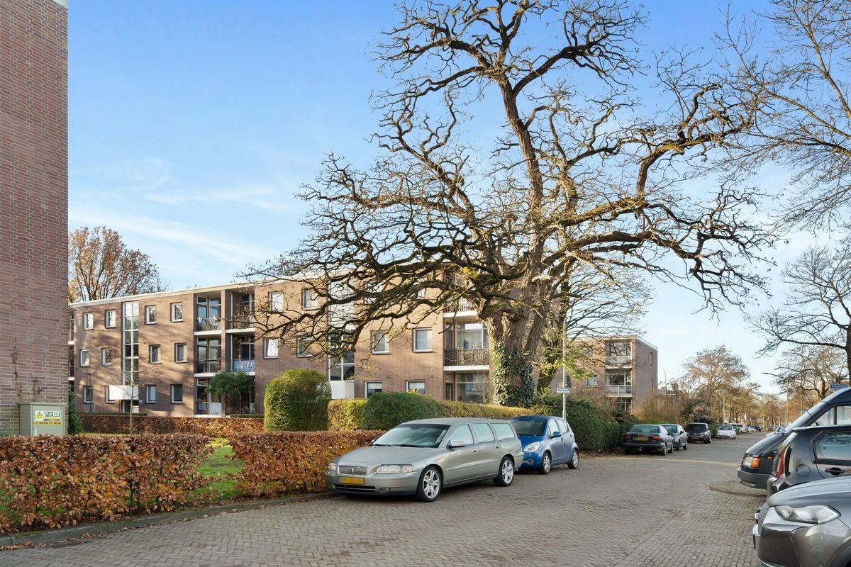 Steijnlaan 76 - B Photo Blur 28