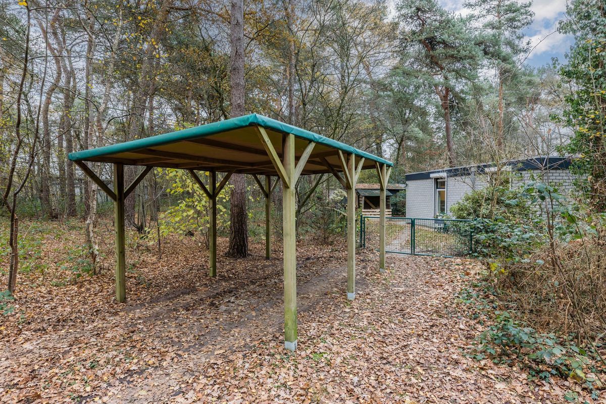 Flaasdijk 1 - 414 Photo Blur 20