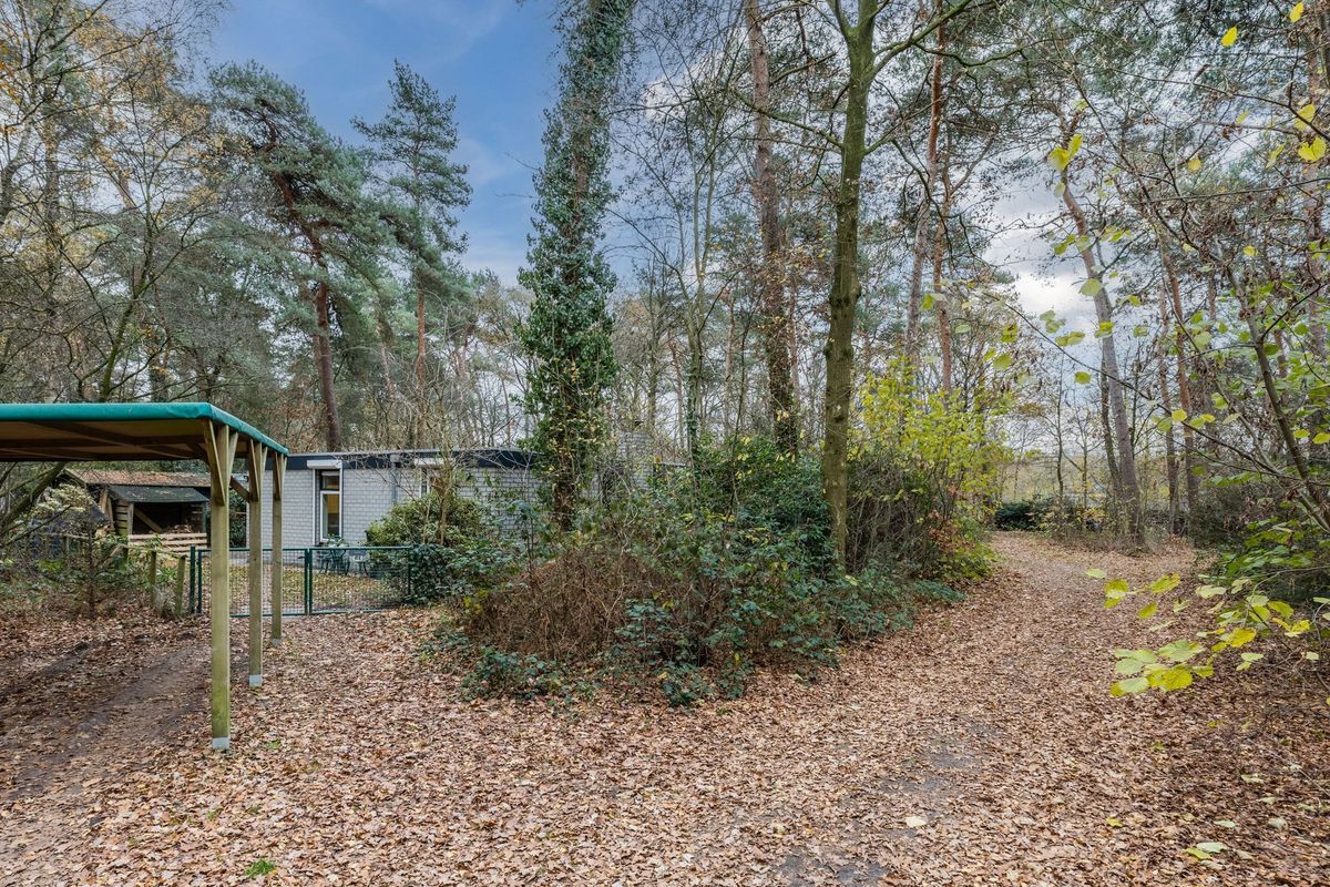 Flaasdijk 1 - 414 Photo Blur 21