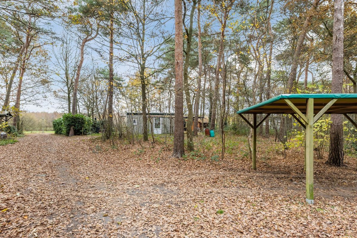 Flaasdijk 1 - 414 Photo Blur 1