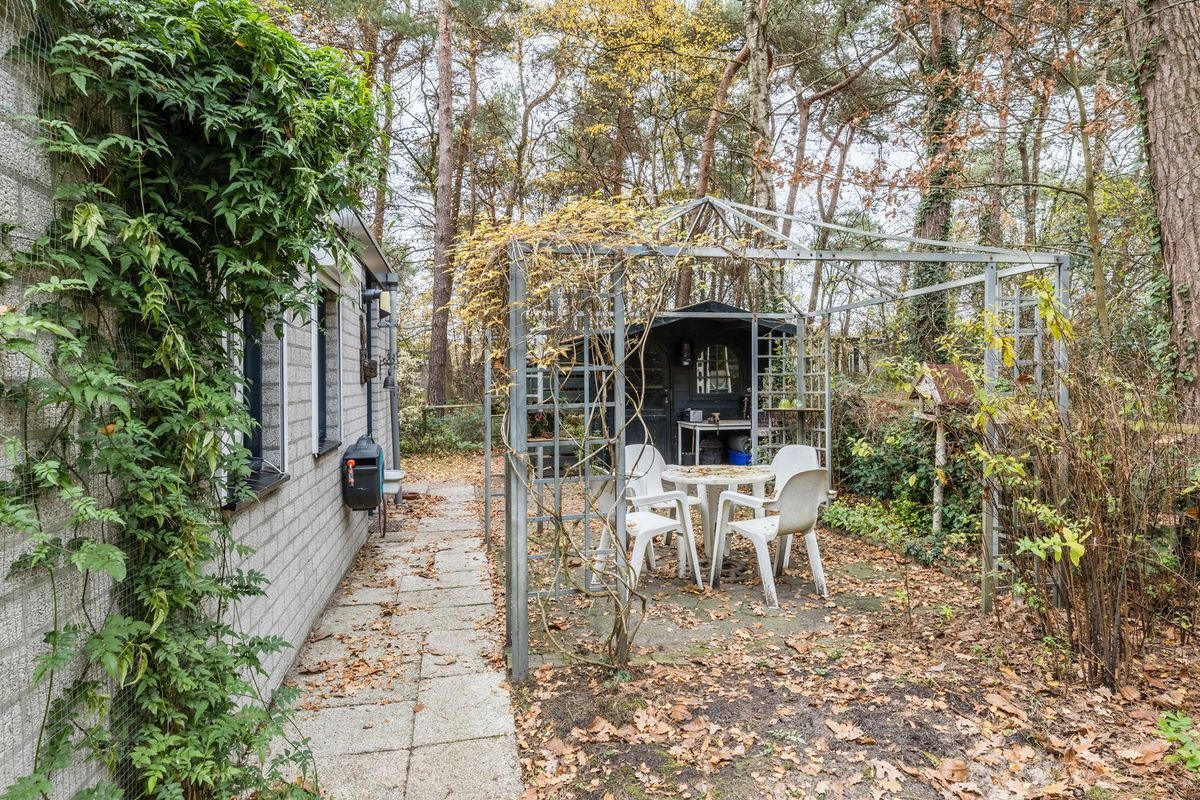 Flaasdijk 1 - 414 Photo Blur 16