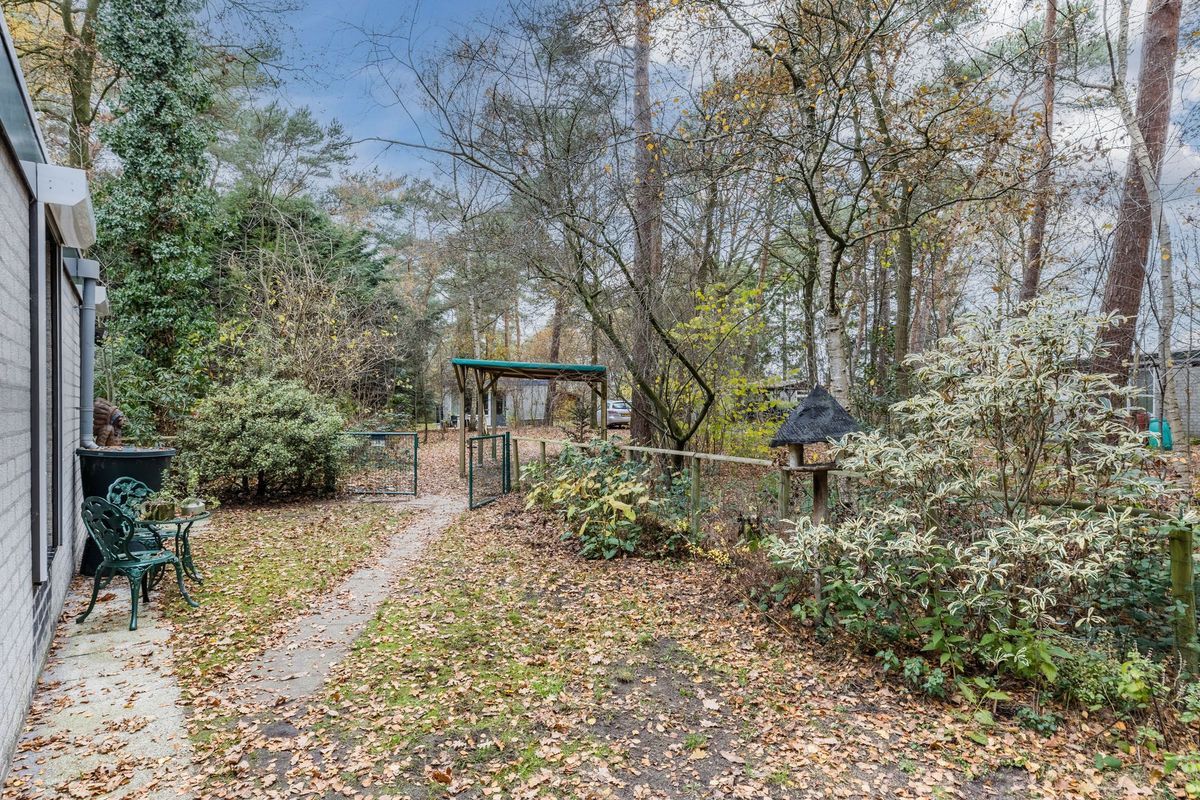 Flaasdijk 1 - 414 Photo Blur 18