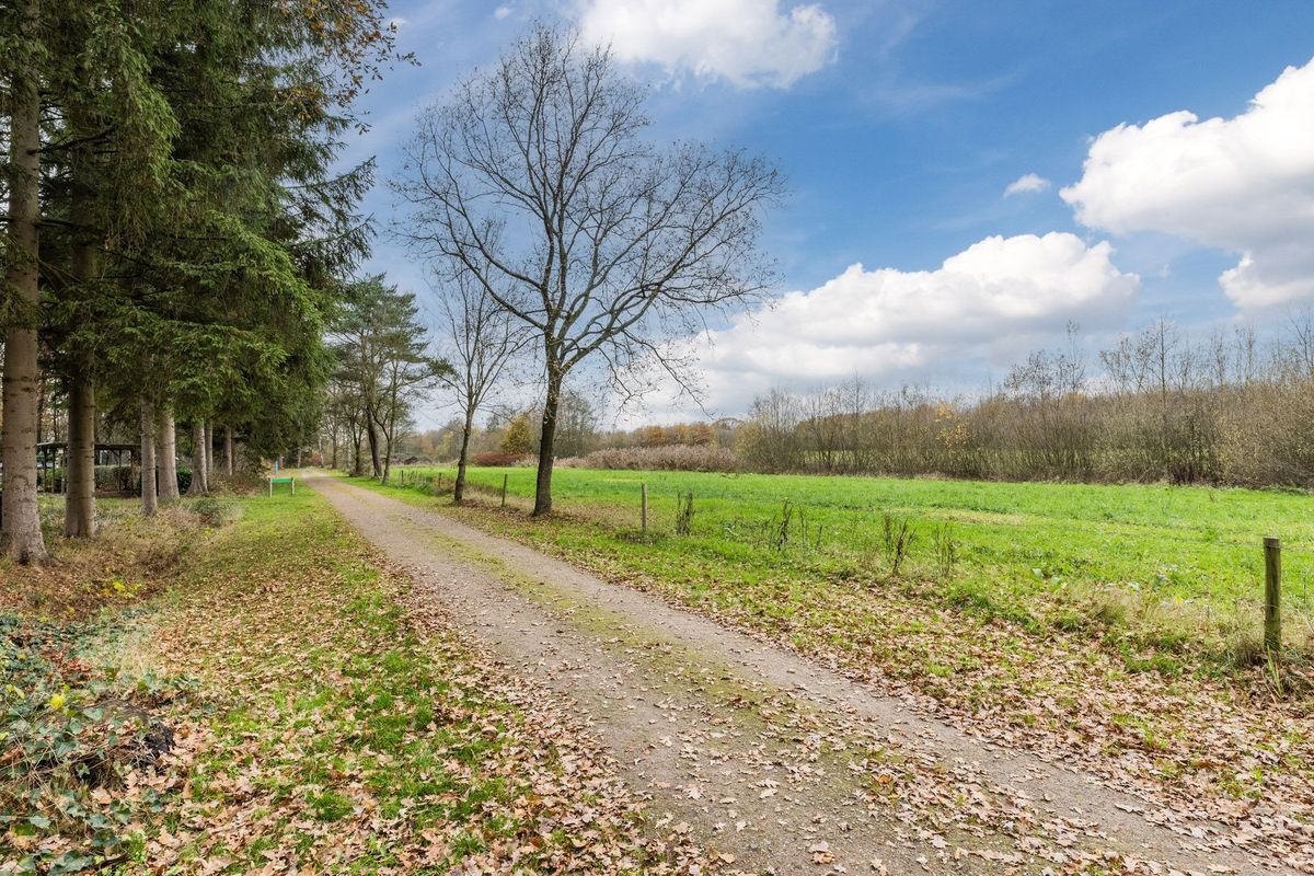 Flaasdijk 1 - 414 Photo Blur 25