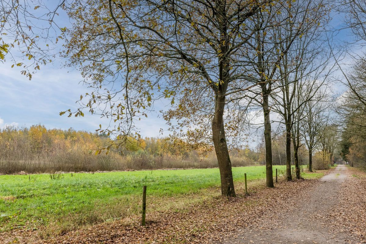 Flaasdijk 1 - 414 Photo Blur 26