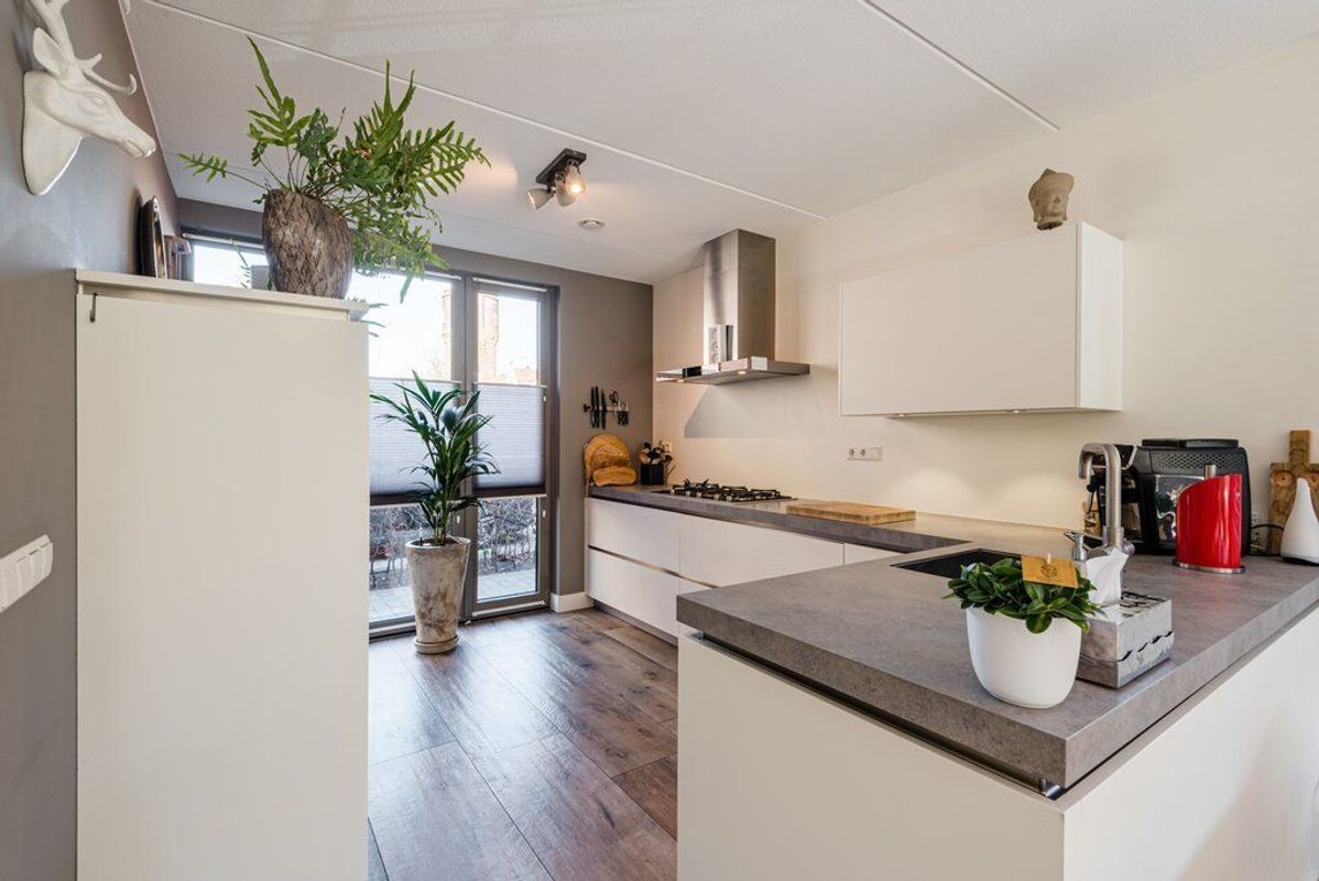 Rooi Hartenpark 1 Photo Blur 7