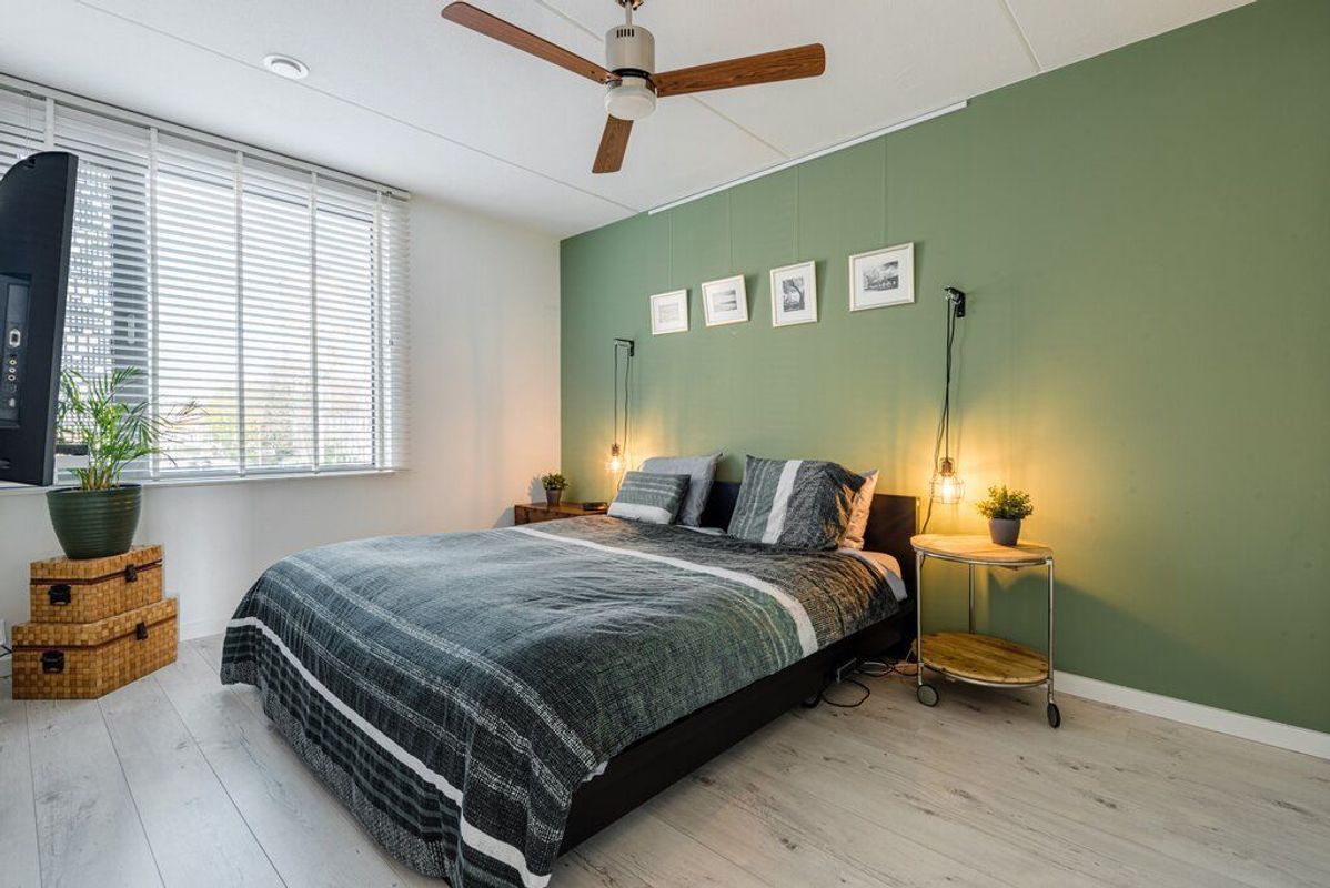 Rooi Hartenpark 1 Photo Blur 10