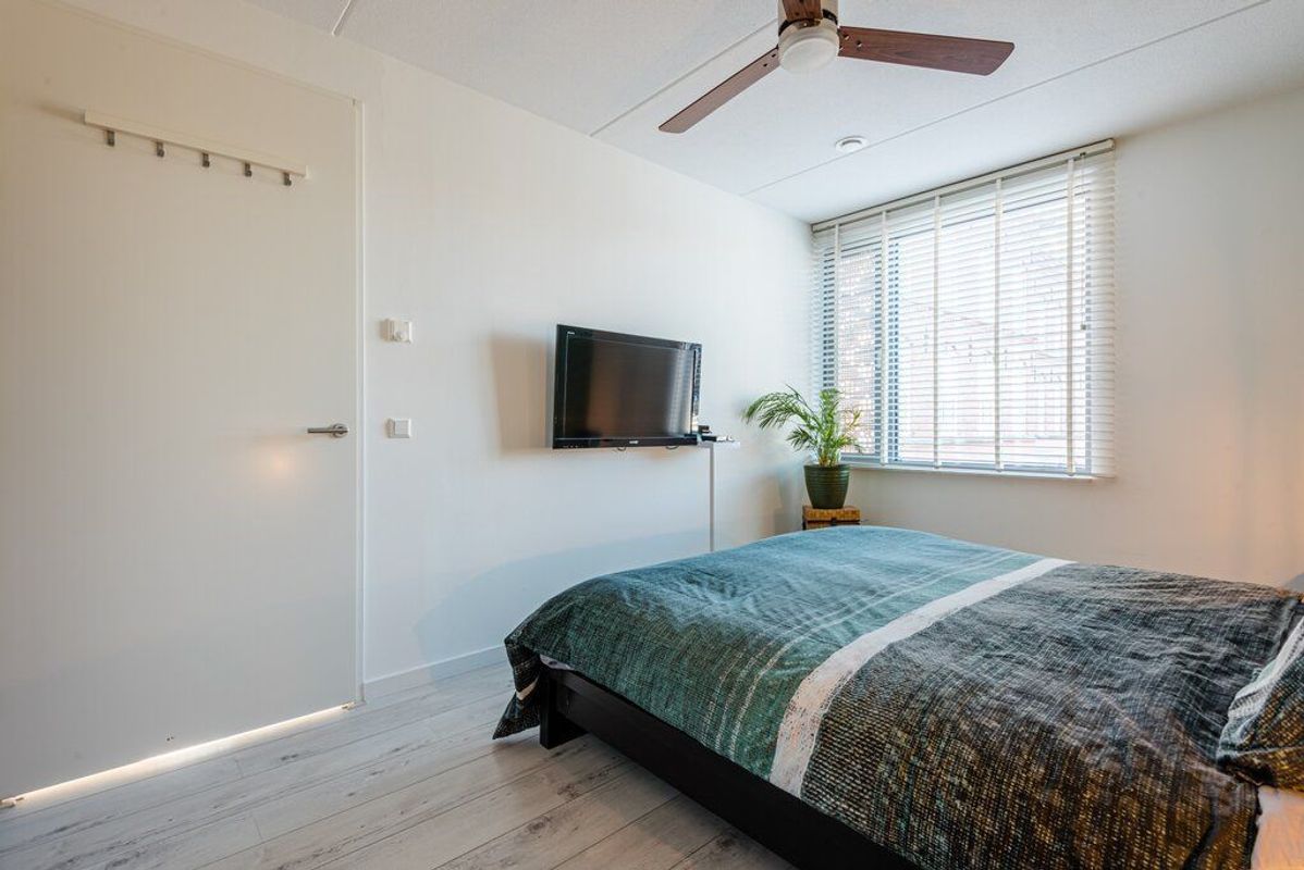 Rooi Hartenpark 1 Photo Blur 11