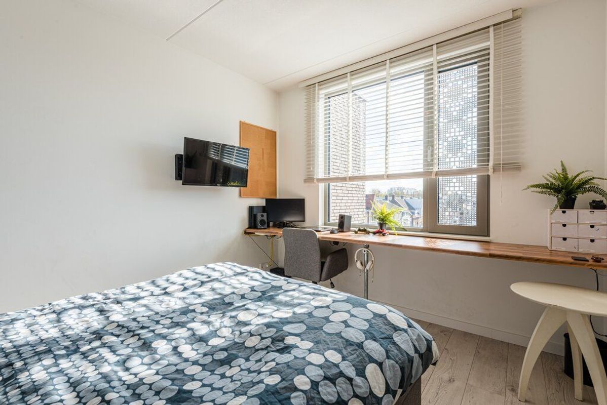 Rooi Hartenpark 1 Photo Blur 18