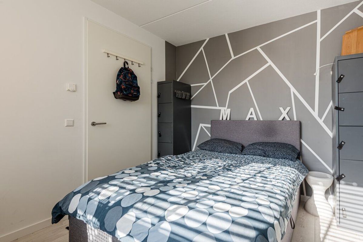 Rooi Hartenpark 1 Photo Blur 19