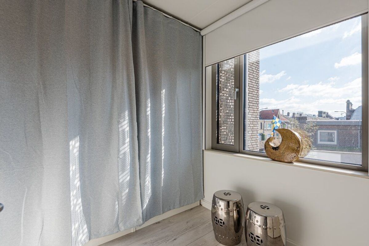 Rooi Hartenpark 1 Photo Blur 17