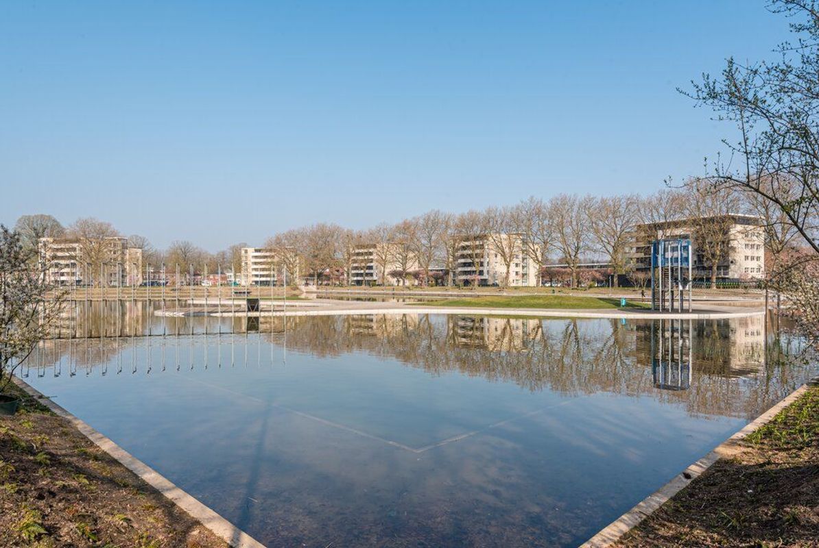 Rooi Hartenpark 1 Photo Blur 33