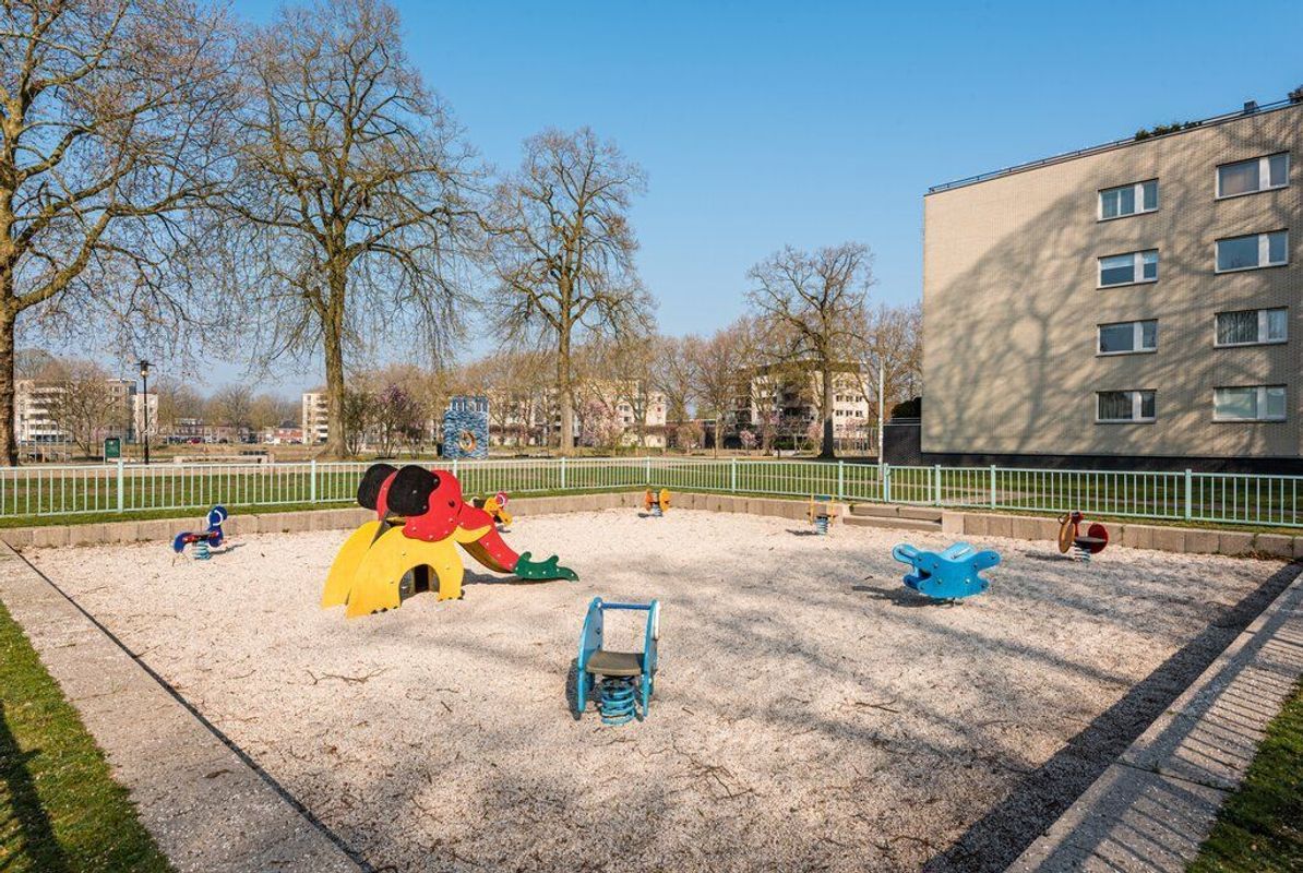 Rooi Hartenpark 1 Photo Blur 34