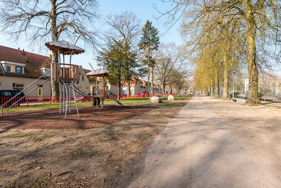 Rooi Hartenpark 1 Photo Blur 27