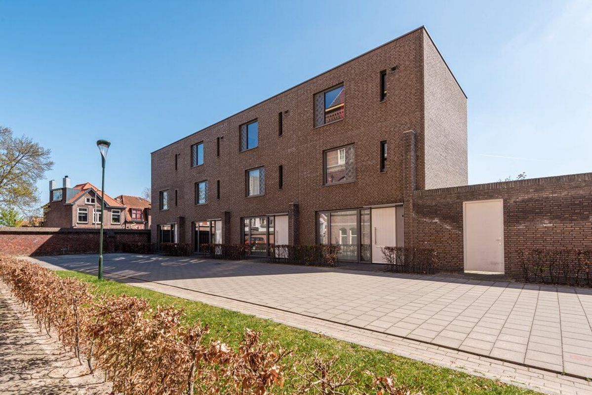 Rooi Hartenpark 1 Photo Blur 0