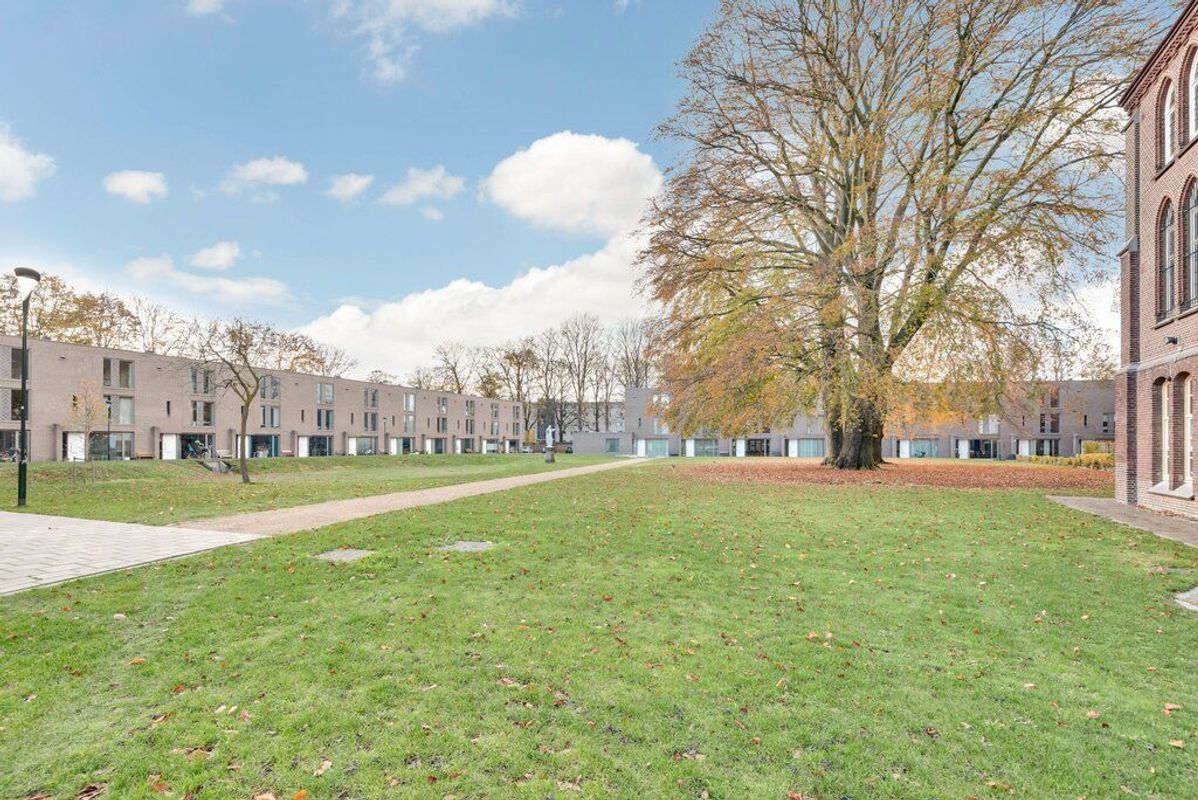 Rooi Hartenpark 1 Photo Blur 32