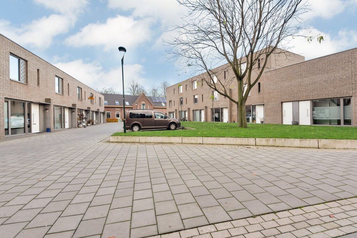 Rooi Hartenpark 1 Photo Blur 29