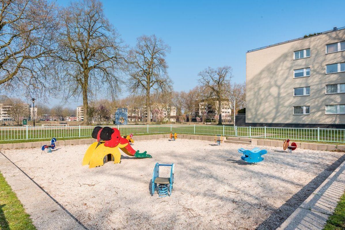 Rooi Hartenpark 1 Photo Blur 36