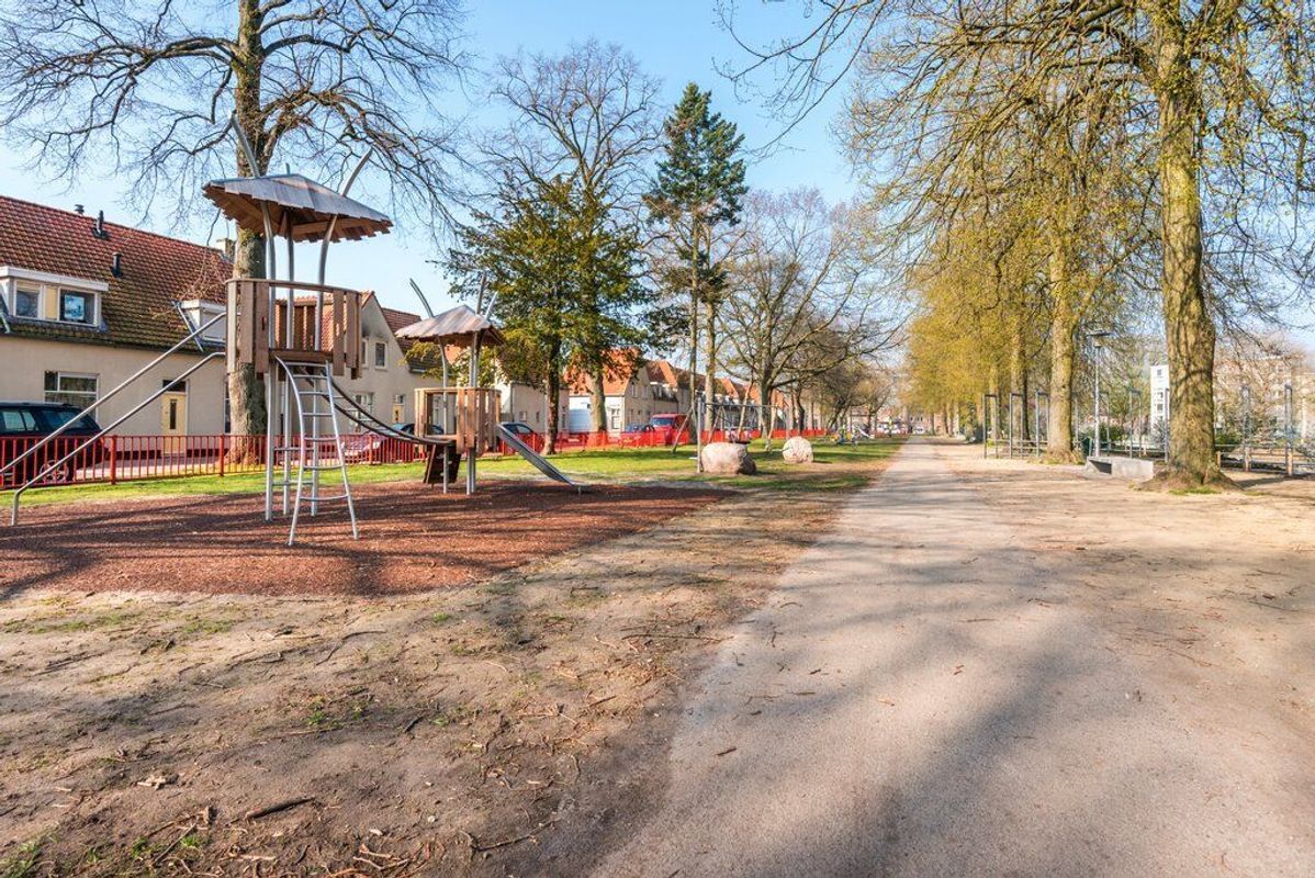 Rooi Hartenpark 1 Photo Blur 35