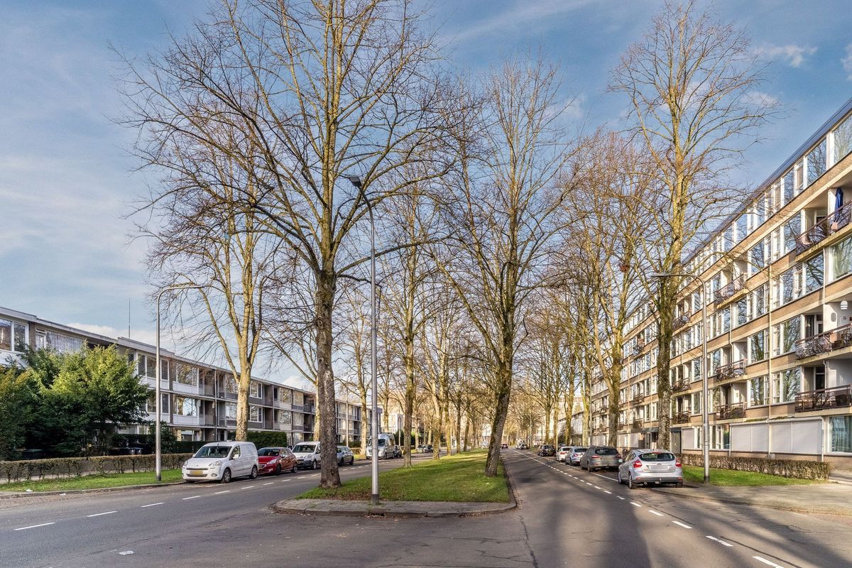 Postelse Hoeflaan 56 - b Photo Blur 44