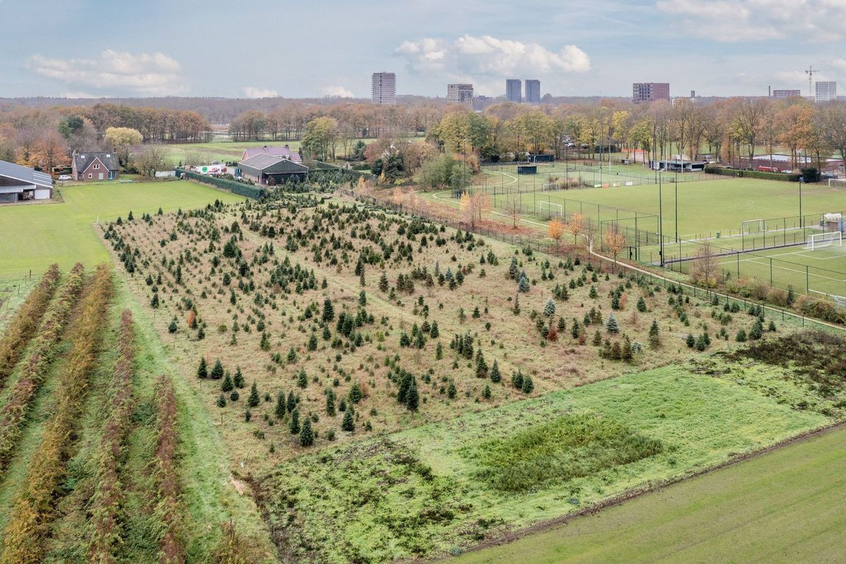 Oisterwijksebaan 9 Photo Blur 49